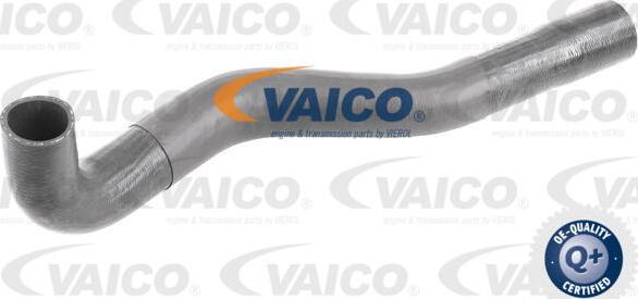 VAICO V48-0200 - Трубка нагнітається повітря autocars.com.ua