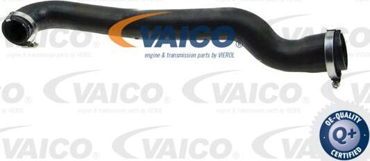 VAICO V48-0201 - Трубка нагнітається повітря autocars.com.ua