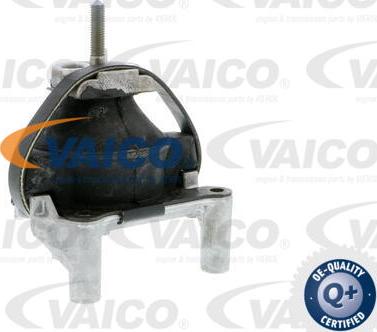 VAICO V50-0031 - Подушка, опора, подвеска двигателя autodnr.net