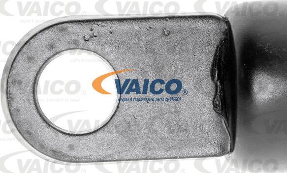 VAICO V50-0045 - Газовая пружина, упор avtokuzovplus.com.ua