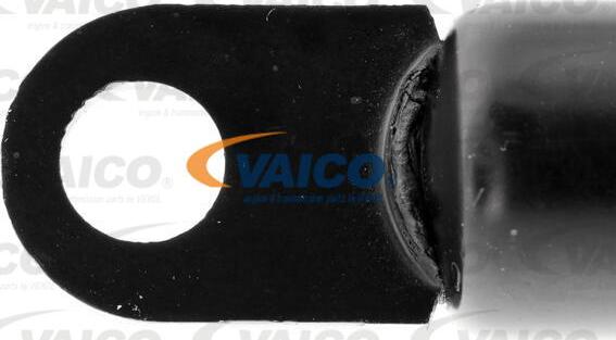 VAICO V50-0048 - Газовая пружина, упор avtokuzovplus.com.ua