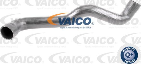 VAICO V50-0084 - Трубка, нагнетание воздуха avtokuzovplus.com.ua