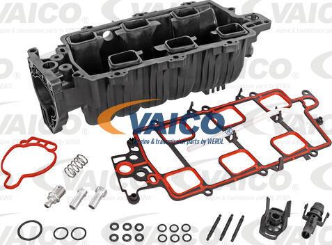 VAICO V51-0142 - Впускная труба, підведення повітря autocars.com.ua