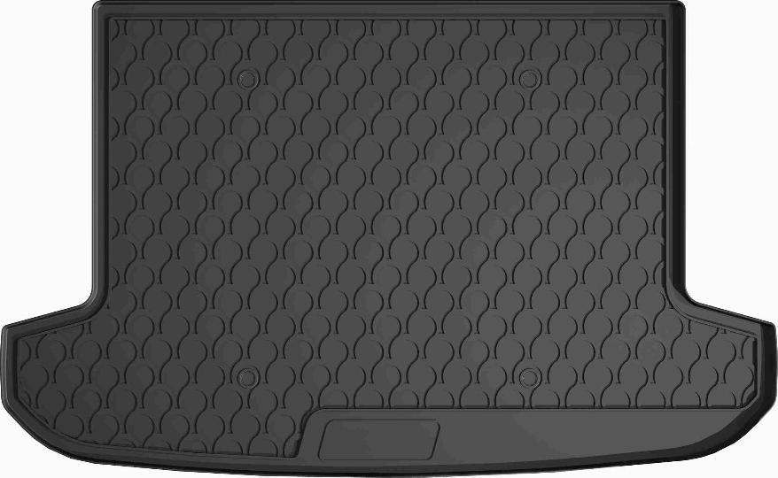 VAICO V52-0402 - Ванночка для багажника autocars.com.ua