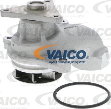 VAICO V53-50006 - Водяной насос autodnr.net