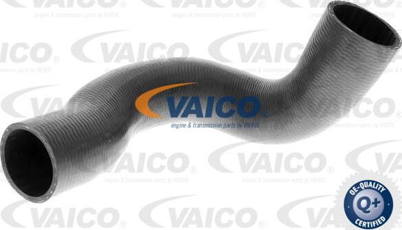 VAICO V95-0352 - Трубка нагнітається повітря autocars.com.ua