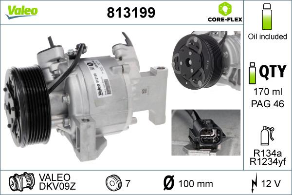 Valeo 813199 - Компрессор кондиционера avtokuzovplus.com.ua