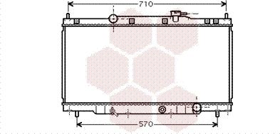 Van Wezel 25002162 - Радіатор, охолодження двигуна autocars.com.ua