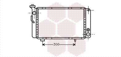 Van Wezel 43002009 - Радіатор, охолодження двигуна autocars.com.ua