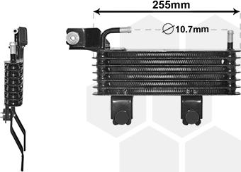 Van Wezel 82003369 - Масляный радиатор, автоматическая коробка передач avtokuzovplus.com.ua