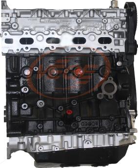 Vege 40110110 - Двигун в зборі autocars.com.ua