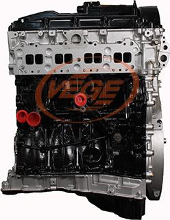 Vege 52480110 - Двигун в зборі autocars.com.ua