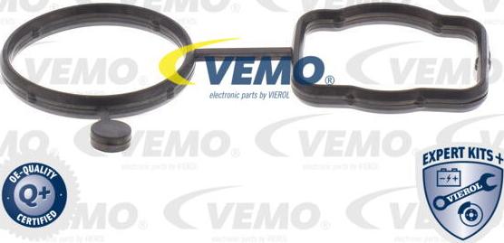 Vemo V10-4919 - Ремкомплект, водяной насос avtokuzovplus.com.ua