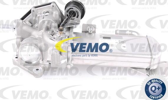 Vemo V10-63-0048 - Клапан повернення ОГ autocars.com.ua