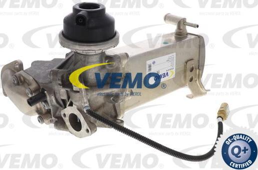 Vemo V10-63-0119 - Клапан повернення ОГ autocars.com.ua