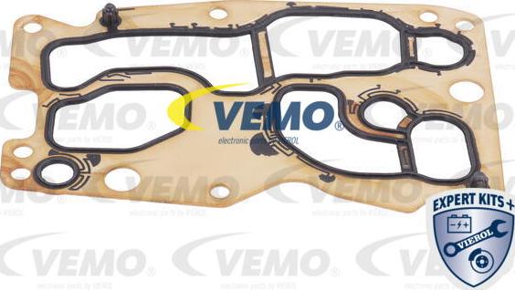 Vemo V20-60-1567 - Масляний радіатор, автоматична коробка передач autocars.com.ua