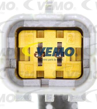 Vemo V22-54-0001 - Клапан поддержки давления масла avtokuzovplus.com.ua