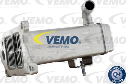 Vemo V22-63-0031 - Радіатор, рециркуляція ОГ autocars.com.ua