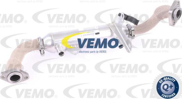 Vemo V24-63-0020 - Радіатор, рециркуляція ОГ autocars.com.ua