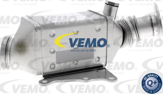 Vemo V24-63-0025 - Радіатор, рециркуляція ОГ autocars.com.ua