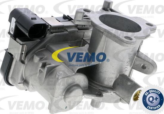 Vemo V24-81-0017 - Патрубок дросельної заслінки autocars.com.ua