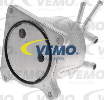 Vemo V33-60-0012 - Масляный радиатор, автоматическая коробка передач avtokuzovplus.com.ua
