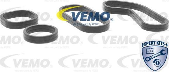 Vemo V42-60-0008 - Масляный радиатор, двигательное масло avtokuzovplus.com.ua