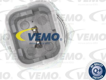 Vemo V42-73-0007 - Датчик, переключатель, фара заднего хода avtokuzovplus.com.ua