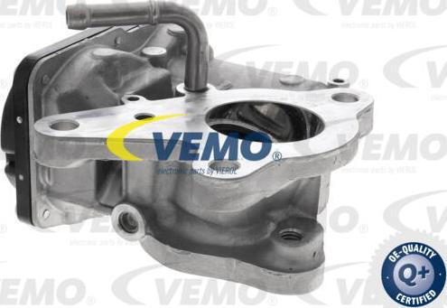 Vemo V46-63-0024 - Клапан повернення ОГ autocars.com.ua