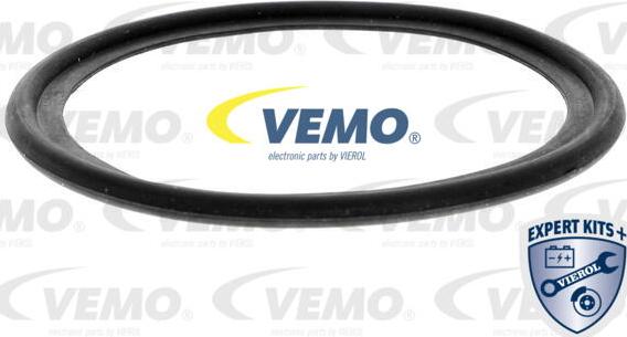 Vemo V48-60-0028 - Масляный радиатор, двигательное масло avtokuzovplus.com.ua