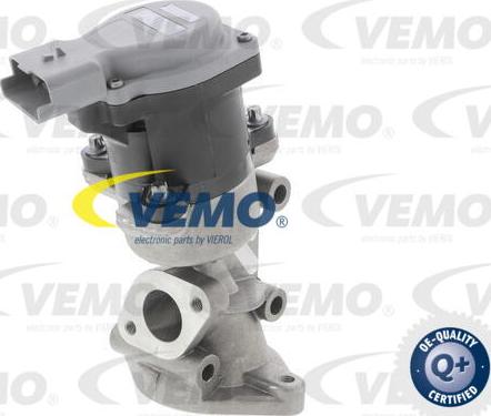 Vemo V48-63-0003 - Клапан повернення ОГ autocars.com.ua