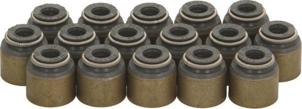 Victor Reinz 12-10031-01 - Комплект прокладок, стержень клапана autocars.com.ua