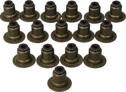 Victor Reinz 12-37621-01 - Комплект прокладок, стержень клапана autocars.com.ua