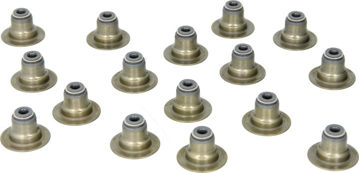 Victor Reinz 12-53438-02 - Комплект прокладок, стержень клапана autocars.com.ua