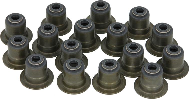 Victor Reinz 125349901 - Комплект прокладок, стержень клапана autocars.com.ua