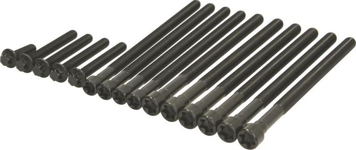 Victor Reinz 141001001 - Комплект болтів головки циліндрів autocars.com.ua