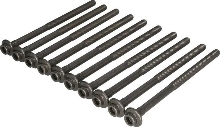 Victor Reinz 14-10013-01 - Комплект болтів головки циліндрів autocars.com.ua