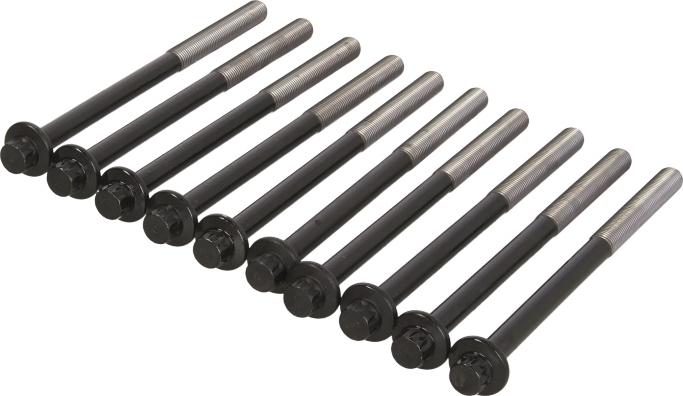 Victor Reinz 14-10174-01 - Комплект болтів головки циліндрів autocars.com.ua