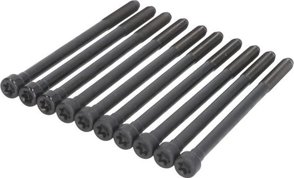 Victor Reinz 14-10276-01 - Комплект болтів головки циліндрів autocars.com.ua