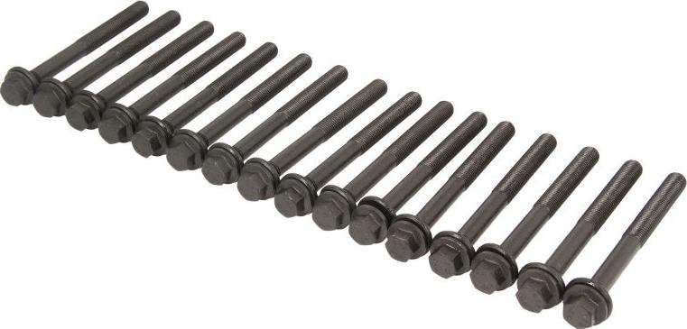 Victor Reinz 14-10415-01 - Комплект болтів головки циліндрів autocars.com.ua