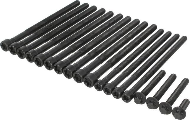 Victor Reinz 141042701 - Комплект болтів головки циліндрів autocars.com.ua