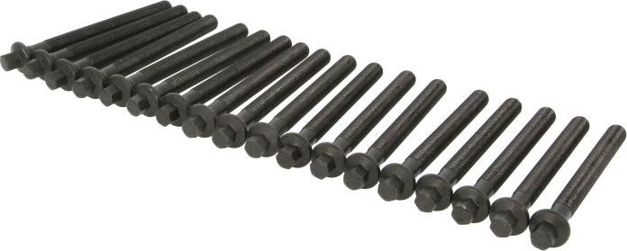 Victor Reinz 141056901 - Комплект болтів головки циліндрів autocars.com.ua