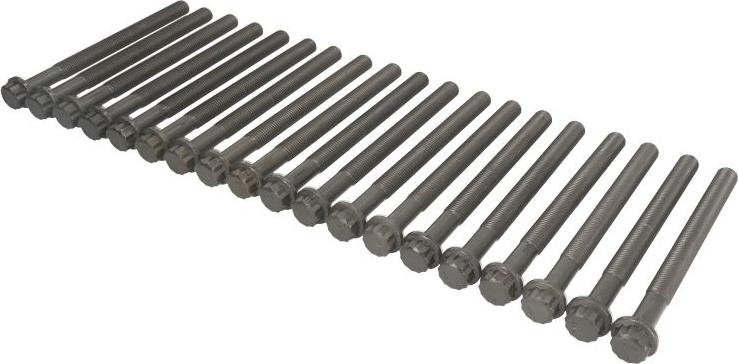 Victor Reinz 141058101 - Комплект болтів головки циліндрів autocars.com.ua