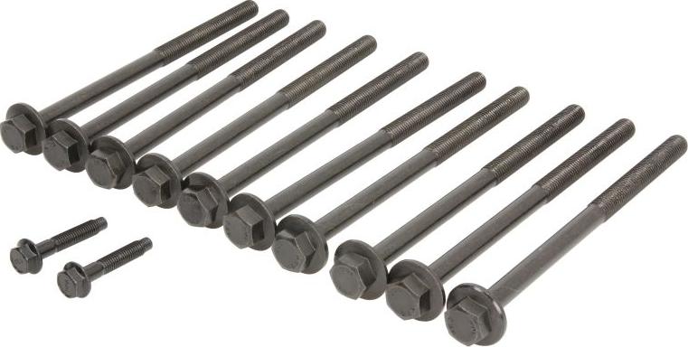 Victor Reinz 14-11649-01 - Комплект болтів головки циліндрів autocars.com.ua