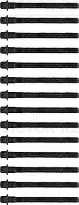 Victor Reinz 143210101 - Комплект болтів головки циліндрів autocars.com.ua