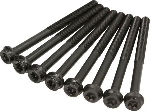 Victor Reinz 14-32106-01 - Комплект болтів головки циліндрів autocars.com.ua