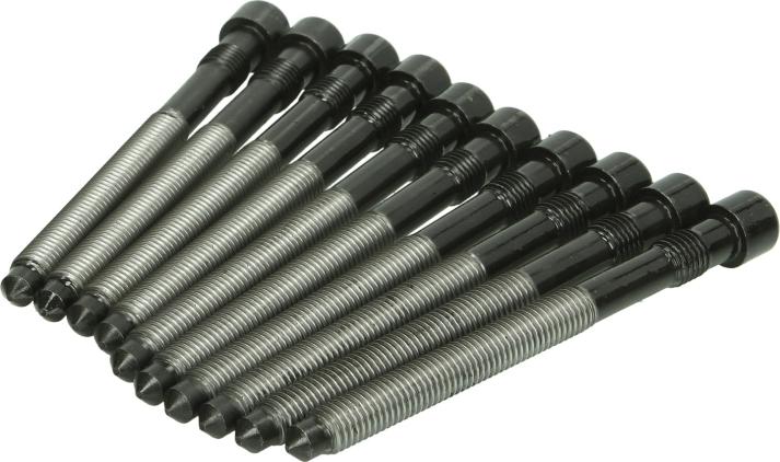 Victor Reinz 14-32127-02 - Комплект болтів головки циліндрів autocars.com.ua