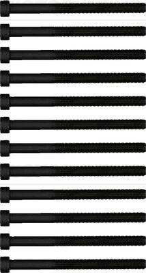 Victor Reinz 143219001 - Комплект болтів головки циліндрів autocars.com.ua