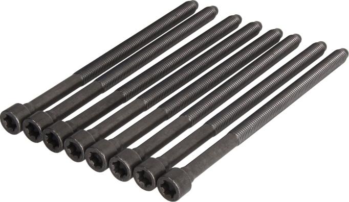 Victor Reinz 14-32198-01 - Комплект болтів головки циліндрів autocars.com.ua