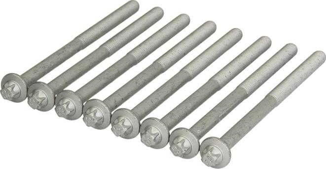 Victor Reinz 14-32215-01 - Комплект болтів головки циліндрів autocars.com.ua